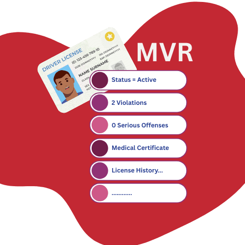 MVR Service